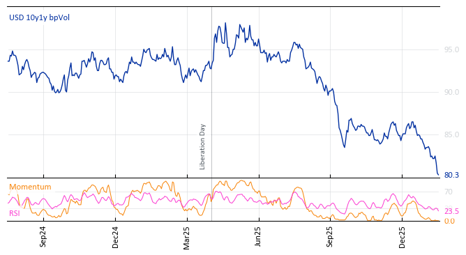 USD 10y1y bpVol