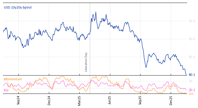 USD 10y20y bpVol