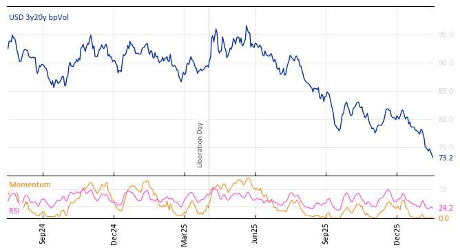 USD 3y20y bpVol