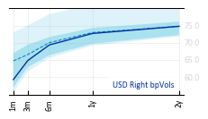 USD_Right_bpVols